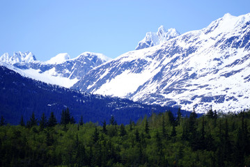 Fototapeta na wymiar A White Mountain on the Road to Skagway Alaska