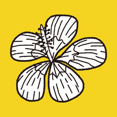 flower doodle