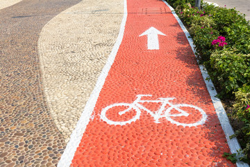 Bike lanes and white bike symbol