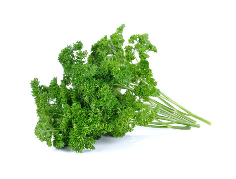 parsley isolated on white background