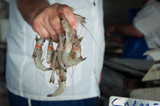 Raw Shrimps in the Hand of a Man at Market
