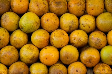 Fresh Oranges for Sale at the Market in Rio de Janeiro