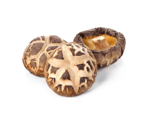 Dry Shiitake Mushroom isolated on white