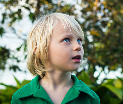 Child In Forest Looking With Wonder At Nature