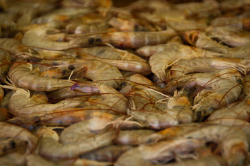 Raw Shrimps