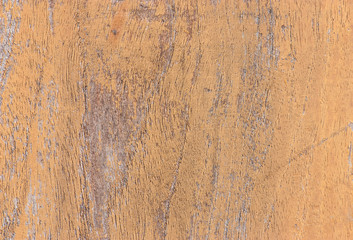 pattern of teak wood.