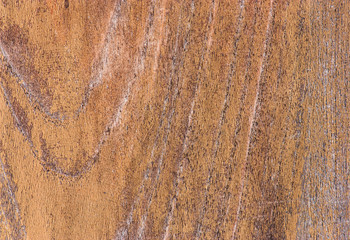 pattern of teak wood.