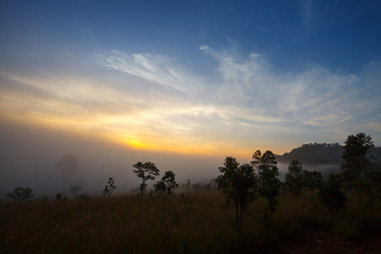 misty morning sunrise in mountain at Thung Salang Luang National © sripfoto