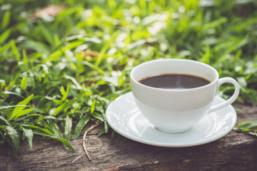 White coffee cup in the park