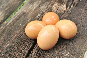 egg on wood background