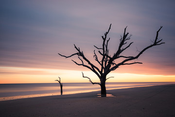 Fototapeta na wymiar Botany Bay beach at cloudy sunset