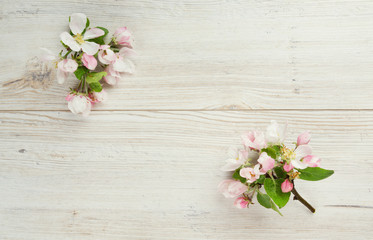 apple blossoms on white wooden surface