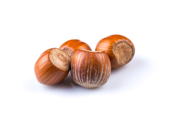 Hazelnuts on white