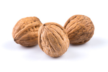 Dried walnut