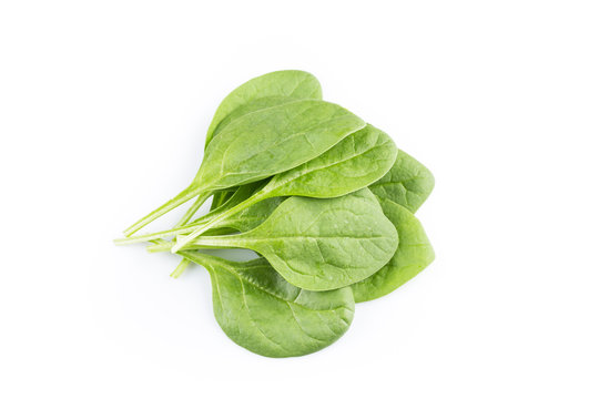 Green spinach on a white background