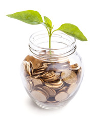 bank,piggy bank,Money,Coins