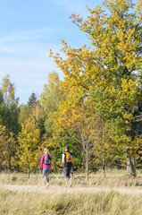 Fototapeta premium Aktiv in den Herbst
