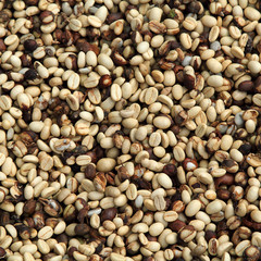 Coffee beans