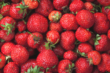 Strawberries background