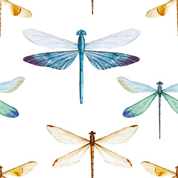 Watercolor dragonflies pattern