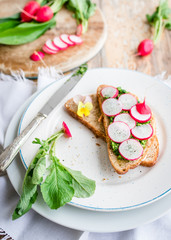 Vegan sandwich with wild garlic pesto and radish 