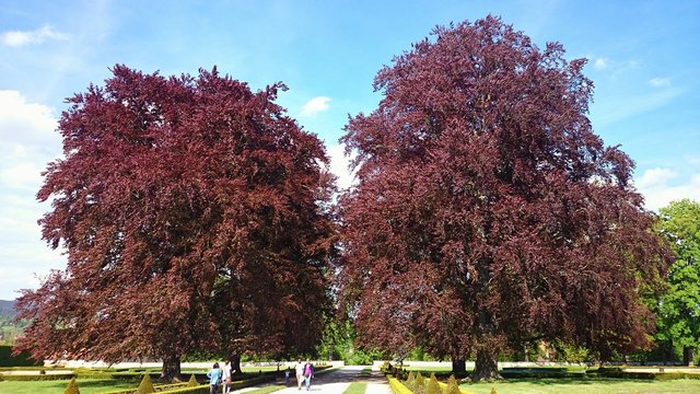 Schlo&szlig;park krumau