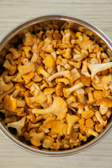 upper view of raw chantarelles