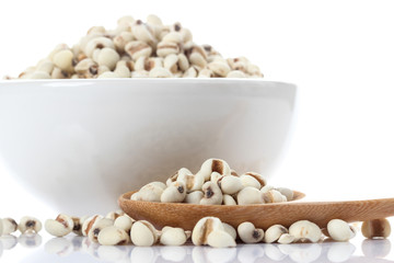 Millet on white background