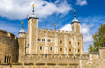 Fototapeta na wymiar View of the Tower of London - England