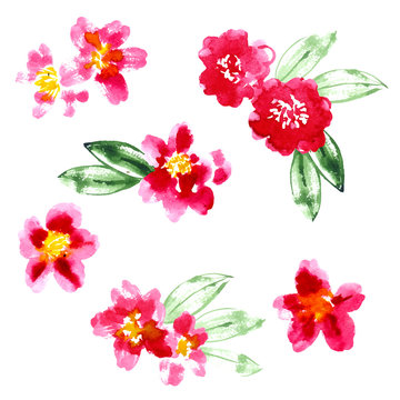 Collection of watercolor camellia flowers