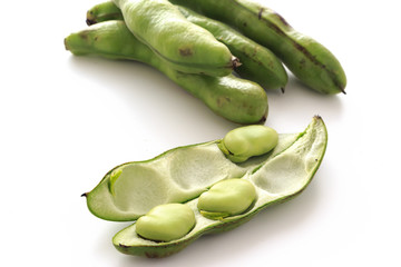 broad bean
