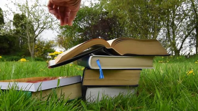 Fachliteratur auf der Wiese