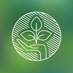 hand holding young plant sprout care concept 