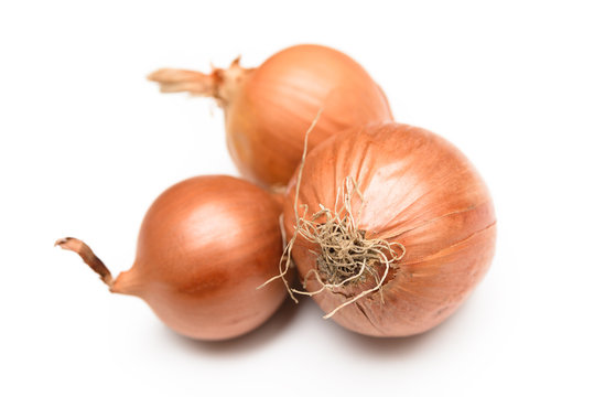 Tre cipolle comuni su sfondo bianco
