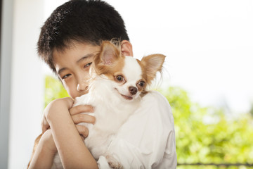 kid life, an Asian boy hug his Chi hua hua tiny dog