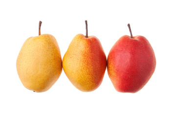 Gradient colour pears