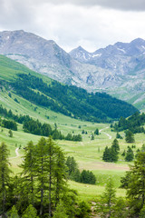 Fototapeta premium Vallon du Lauzanier, Mercantour National Park, France