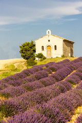 chapel with lavender field, Plateau de Valensole, Provence, Fran