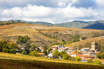 Fototapeta na wymiar village Salles-Arbuissonnas-en-Beaujolais with vineyard, Rhone-A