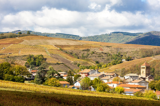 village Salles-Arbuissonnas-en-Beaujolais with vineyard, Rhone-A