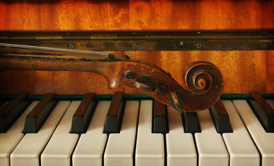 Beautiful violin