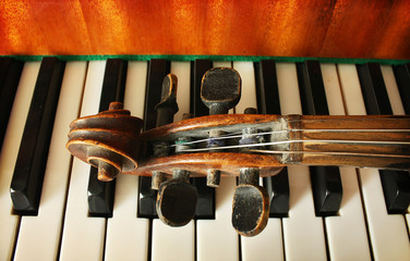 Beautiful violin - 83510361