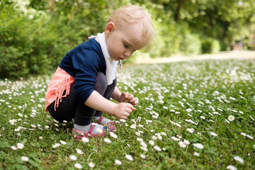 Fototapeta premium blumenpflücken