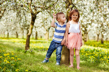 Naklejka na ściany i meble Boy and a girl in orchard
