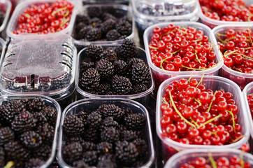 Blackberry and red currant in plastic containers at the market