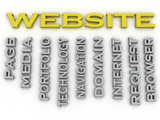 3d image Website  issues concept word cloud background