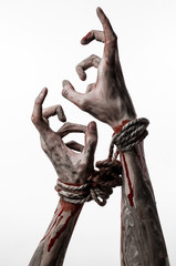 Hands bound,bloody hands, mud, rope, on a white background