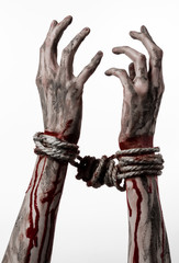 Hands bound,bloody hands, mud, rope, on a white background