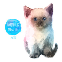 Vector set of watercolor illustrations. Cute cat - 83514569