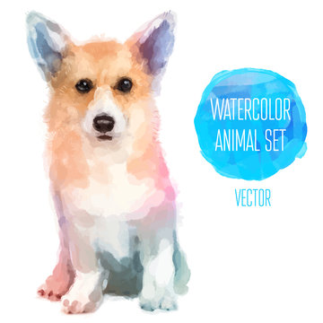 Vector set of watercolor illustrations. Cute dog
